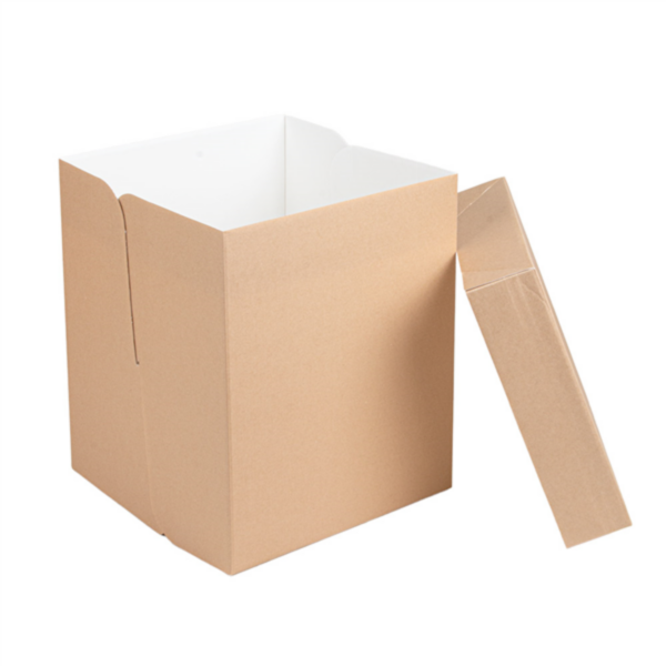 Boite carton haute 254x254x305mm Ref 264.14 C/30 -unité-