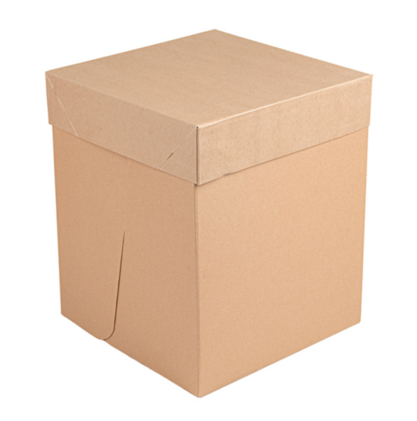 Boite carton haute 254x254x305mm Ref 264.14 C/30 -unité-