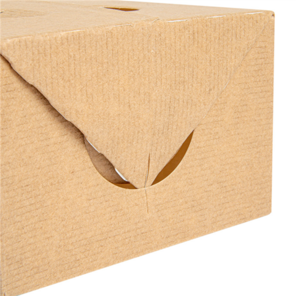 Boites Kraft pour repas à emporter 1000ml Ref 256.65 C/300 P/50 -unité-