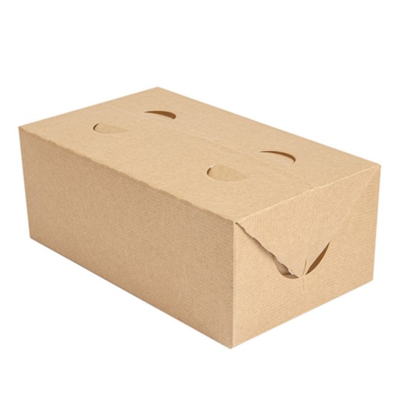 Boites Kraft pour repas à emporter 1000ml Ref 256.65 C/300 P/50 -unité-