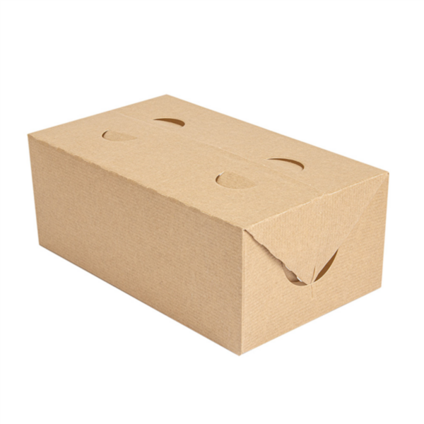 Boites Kraft pour repas à emporter 2000ml Ref 256.66 C/300 P/50 -unité-