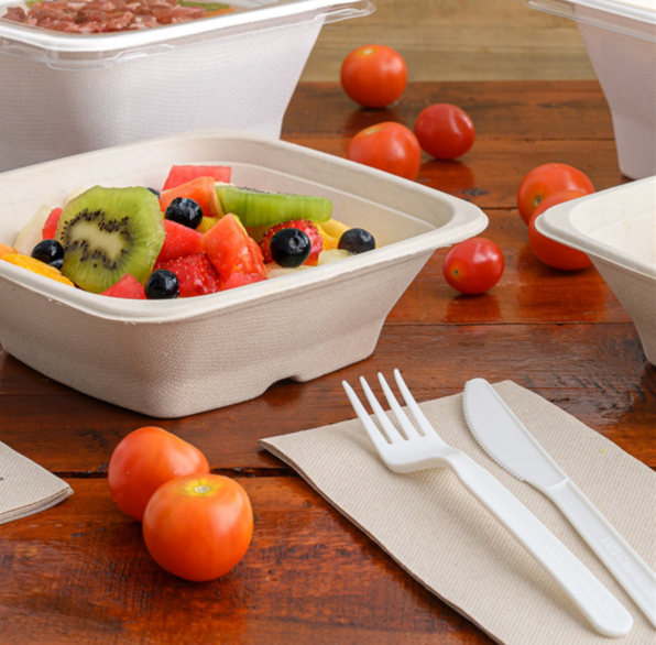 Fourchette blanche CPLA compostable et biodégradable 17cm Ref 223.50 C/1000 P/50 -unité-