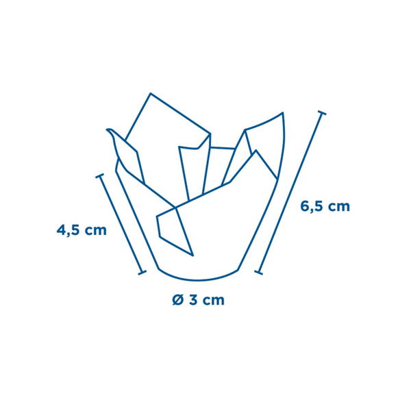 Muffin Cup Tulipe Papier Colorés diamètre 30mm 45x65mm 197.97 C/1000 P/200 -unité-