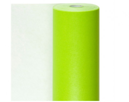 Papier cadeau Vert Anis Cellulose 60 g/m² 0,70x100 M 192.32 -le rouleau-