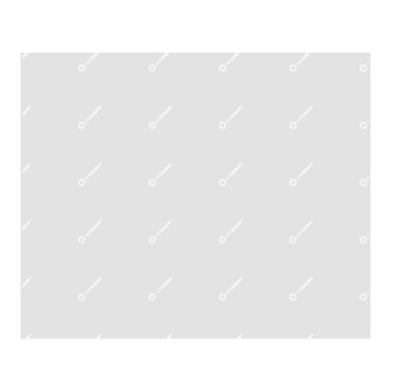 Papier d'emballage burger CRISTAL Transparent 31x38cm C/4000 P/1000 263.96 -unité-