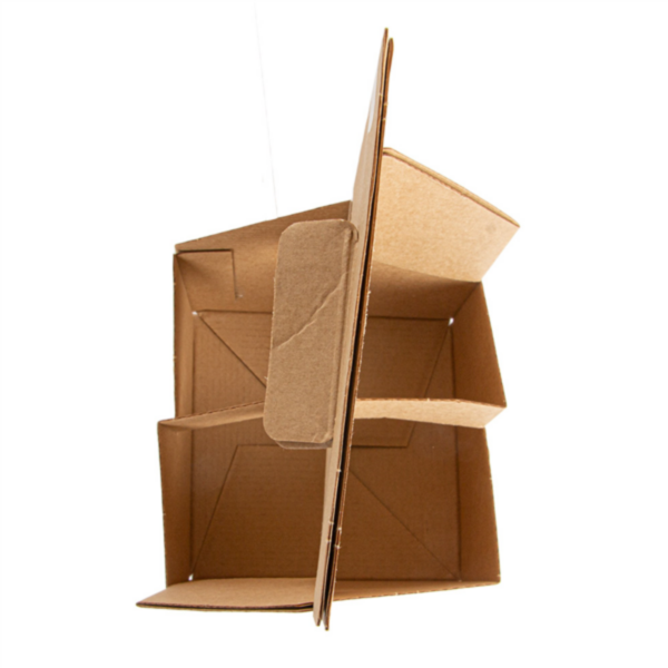 Plateau carton microcannelé transport 4 bouteilles C/200 -unité- 256.51