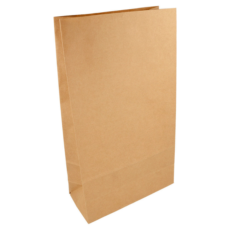 Sacs sos kraft sans anses 20+9x34.5cm Kraft NEUTRE 206.69 C/500 -unité-