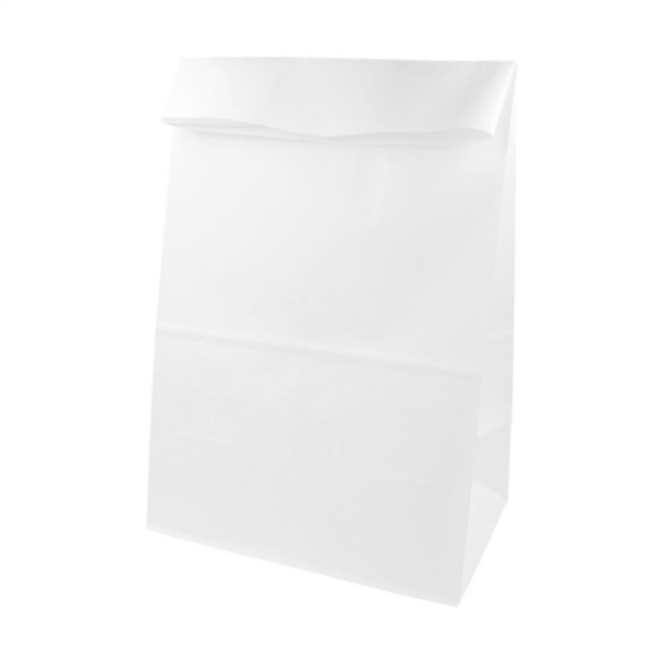 Sacs sos kraft sans anses 20+9x34.5cm Blanc NEUTRE 206.70 C/500 -unité-