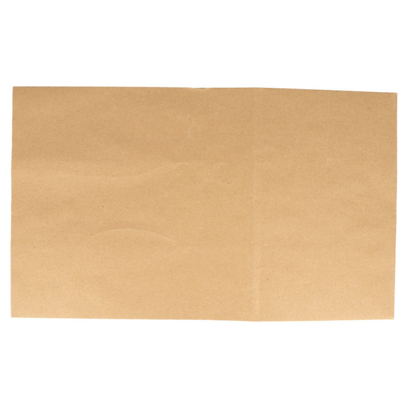 Sacs sos kraft sans anses 22+14x37cm  Kraft  NEUTRE 222.42 C/500 -unité-