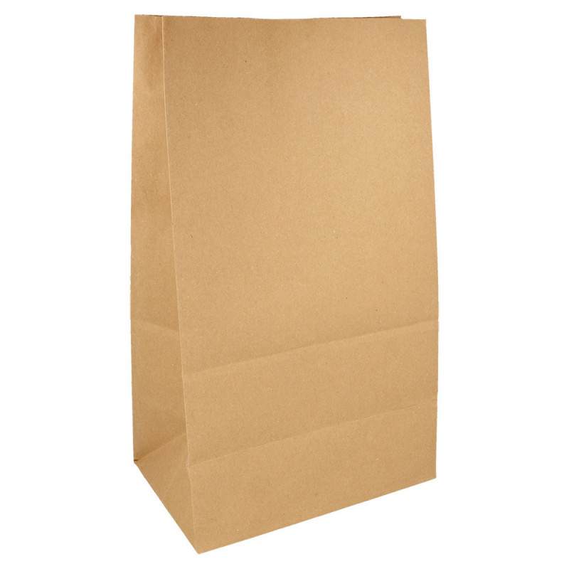 Sacs sos kraft sans anses 22+14x37cm  Kraft  NEUTRE 222.42 C/500 -unité-