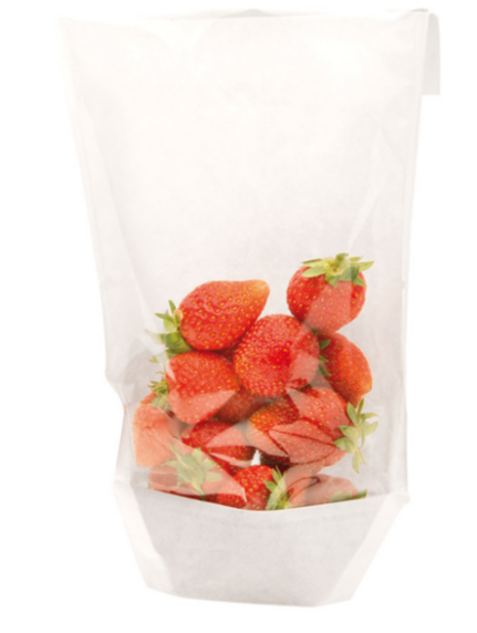 Sachets Blancs Display avec base et fenêtre plastique 140x35x(240/210)mm 173.20 C/3000 P/100 -unité-