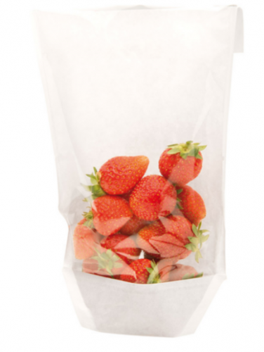 Sachets Blancs Display avec base et fenêtre plastique 140x35x(240/210)mm 173.20 C/3000 P/100 -unité-