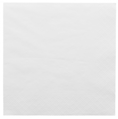 Serviettes 20x20 2 Plis Blanche 102.13 C/4800 P/100 -unité-