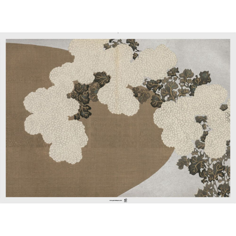 Set de table 43x31 assortis Asia 275.12 C/2000  P/500 -unité-