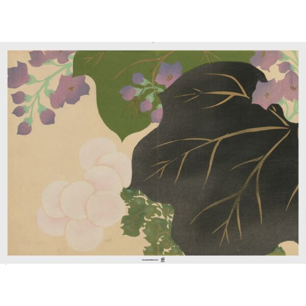 Set de table 43x31 assortis Asia 275.12 C/2000  P/500 -unité-