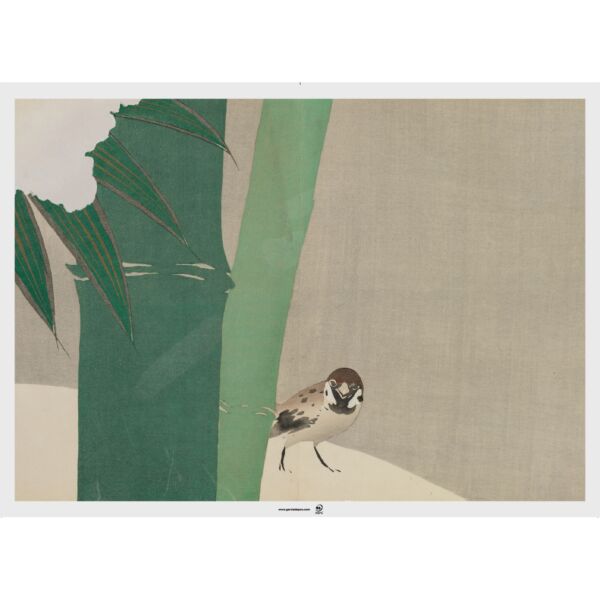 Set de table 43x31 assortis Asia 275.12 C/2000  P/500 -unité-