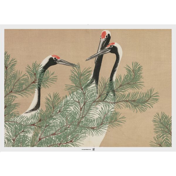 Set de table 43x31 assortis Asia 275.12 C/2000  P/500 -unité-