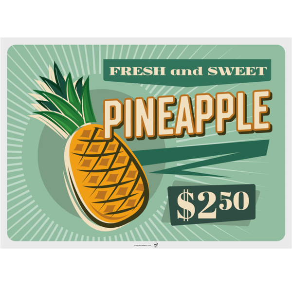 Set de table 43x31 assortis Vintage Juices 275.18 C/2000  P/500 -unité-