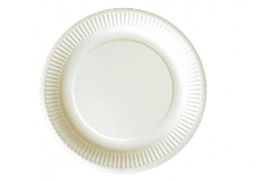 Assiettes carton de 15cm P/100 unité