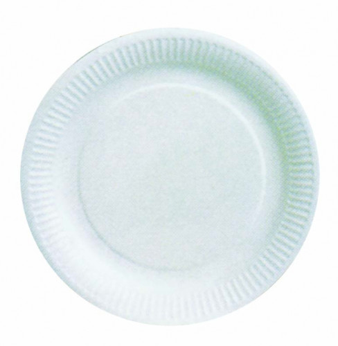 Assiette carton blanche 23cm P/100